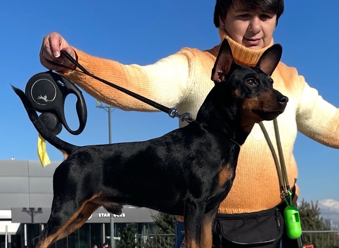 JCH,CH TANGO VON MASTERHOF