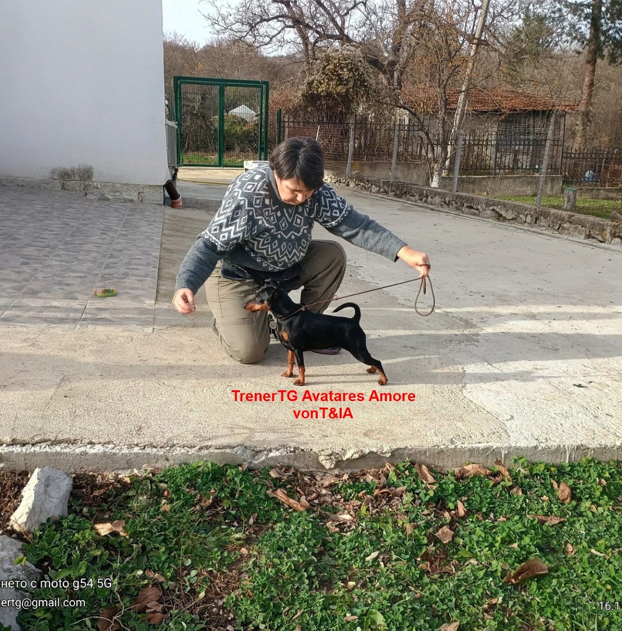 JCH TRENERTG AVATARES AMORE von T&IA